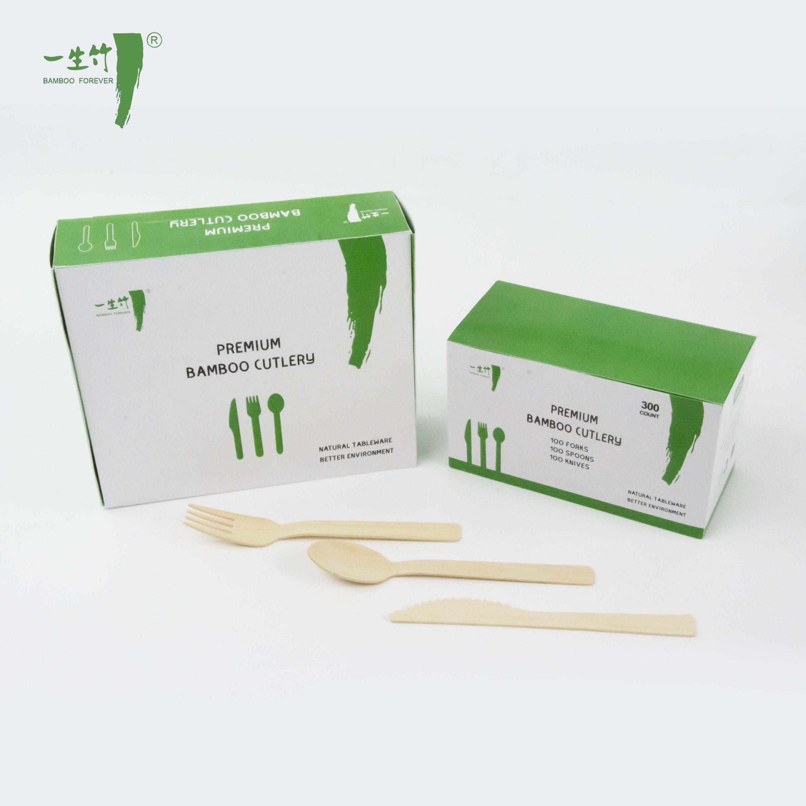 Boîtes d’Emballage Personnalisées – Couverts Jetables en Bambou Biodégradable